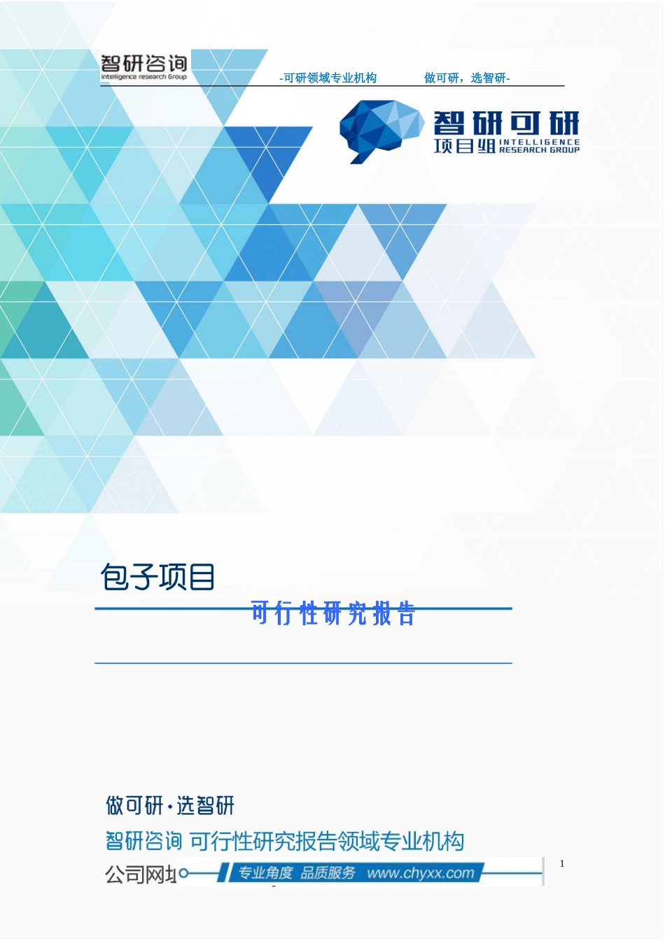 包子项目可行性研究报告_第1页