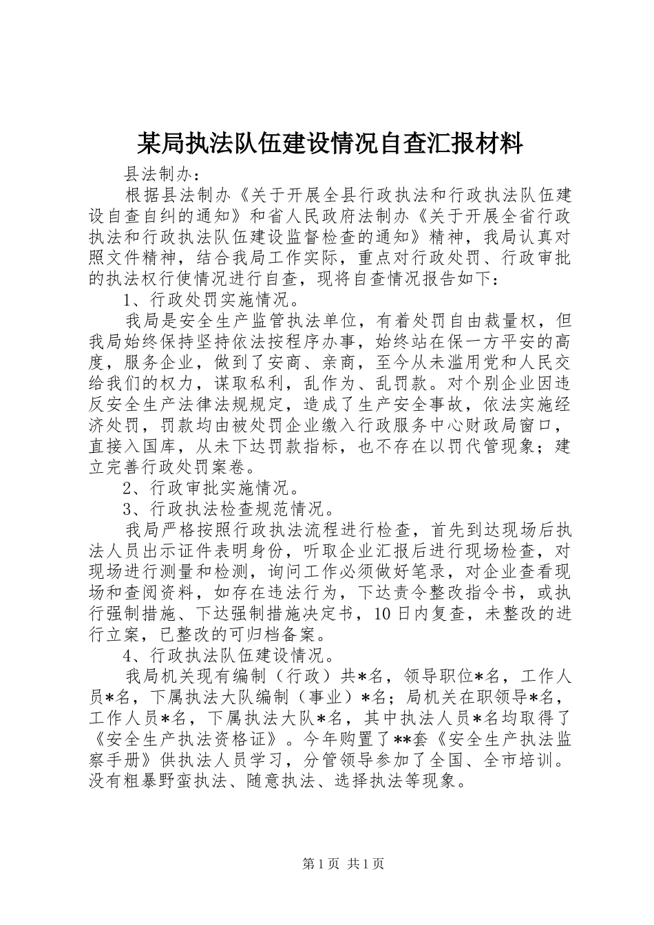 局执法队伍建设情况自查汇报材料_第1页