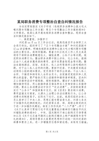 局职务消费专项整治自查自纠情况报告