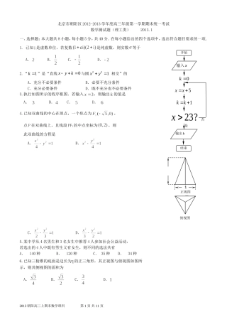 北京2013届朝阳上学期期末高三数学(理科)