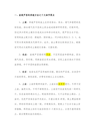 办公室各种花卉养殖方法及注意事项