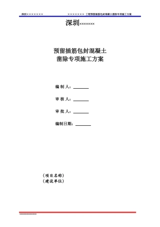 包封混凝土凿除施工专项方案