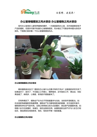 办公室绿植摆放之风水禁忌-办公室植物之风水禁忌