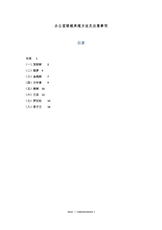 办公室绿植养殖方法及注意事项