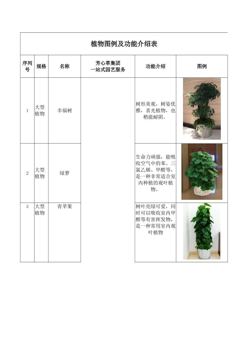办公室盆栽租摆植物详细介绍_第1页