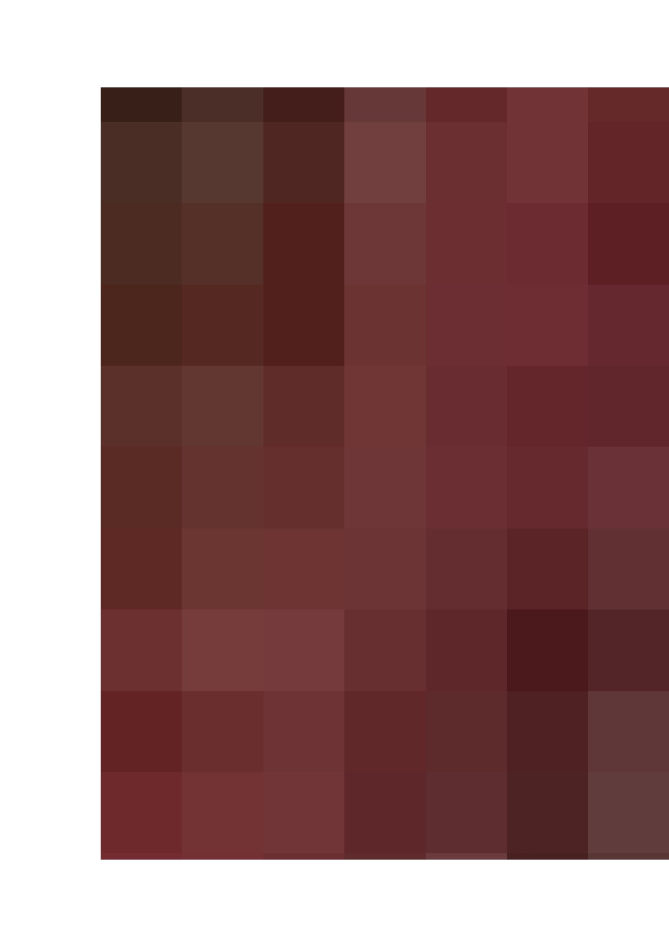 北京大学宣传册精装版介绍_第2页