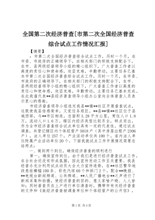 全国第二次经济普查市第二次全国经济普查综合试点工作情况汇报