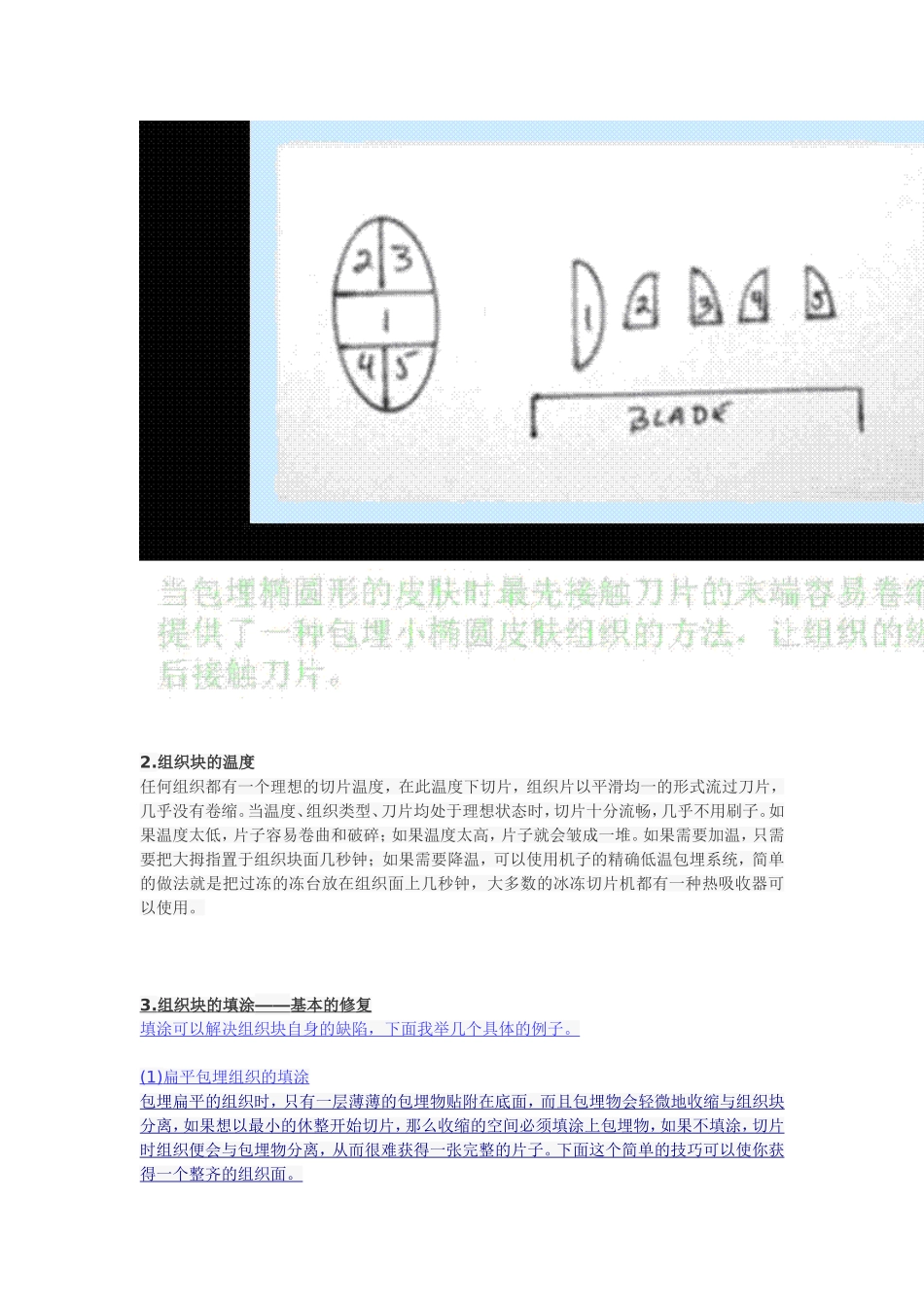 冰冻切片详细说明_第3页