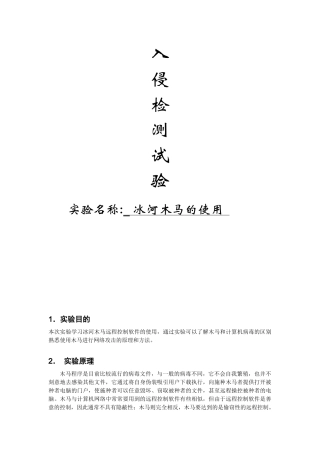 冰河木马的使用