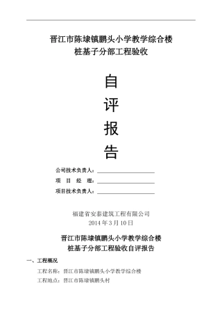 冲孔灌注桩自评报告新