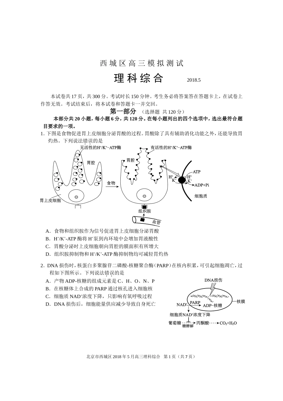 北京市西城区2018届高三5月模拟测试(二模)理综生物试题+Word版含答案_第1页