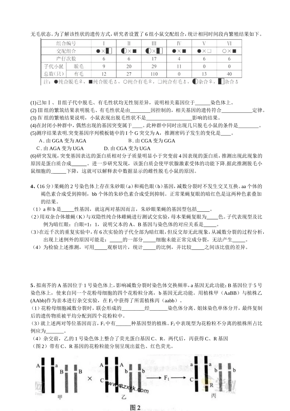 北京历年高考--生物遗传题汇编_第3页