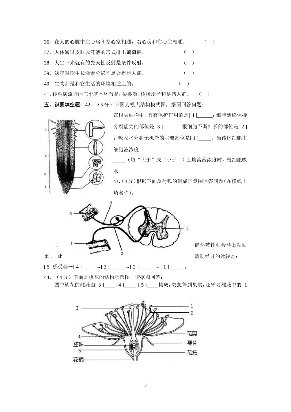 初二毕业会考生物模拟试题_第3页