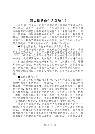 码头指导员个人总结