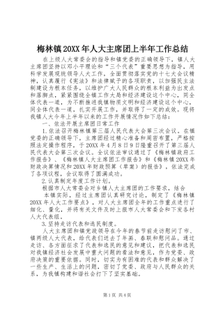 梅林镇人大主席团上半年工作总结