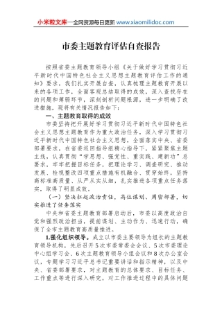 市委主题教育评估自查报告