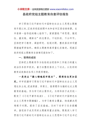 县政府党组主题教育自查评估报告