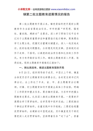 镇第二批主题教育进展情况的报告