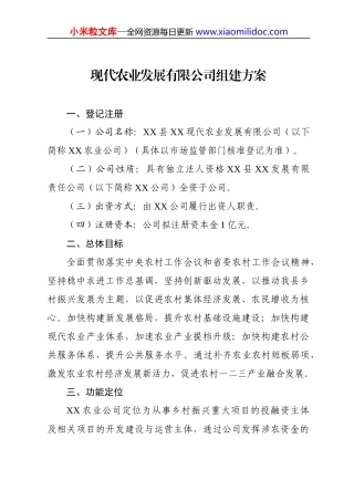 乡村振兴投资开发有限责任公司组建方案