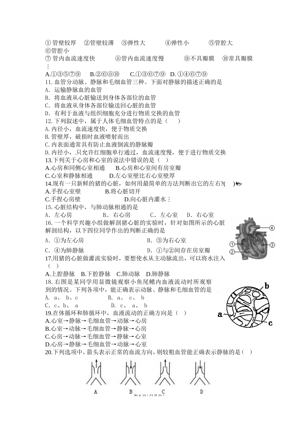 初二生物血液循环试题_第2页