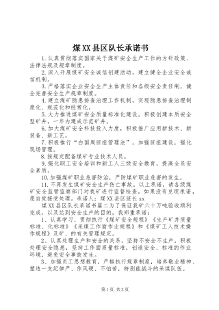 煤县区队长承诺书