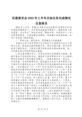 民盟委员会上半年目标任务完成情况自查报告