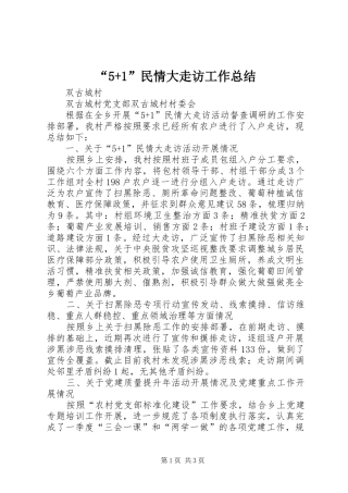 民情大走访工作总结