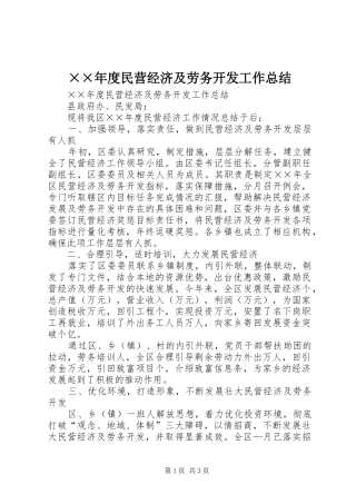 民营经济及劳务开发工作总结