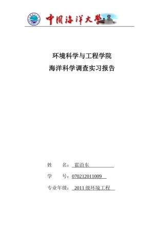 出海实习报告模板