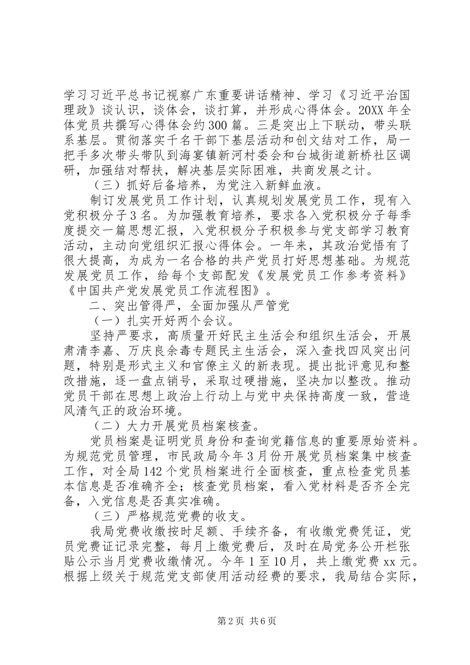 民政局党建工作总结_第2页