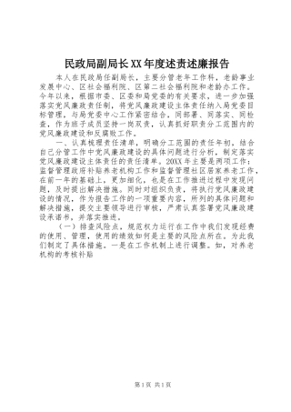 民政局副局长年度述责述廉报告