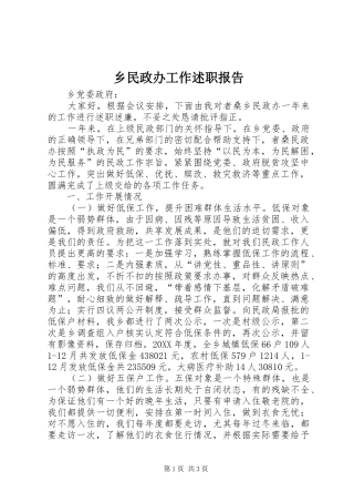 乡民政办工作述职报告