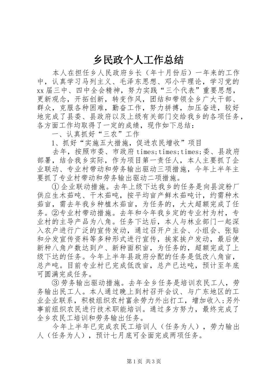乡民政个人工作总结_第1页