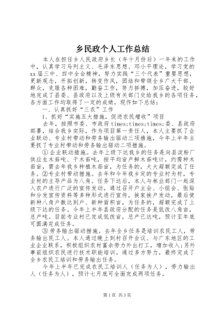 乡民政个人工作总结