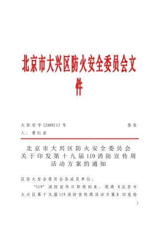 北京市大兴区防火安全委员会文件