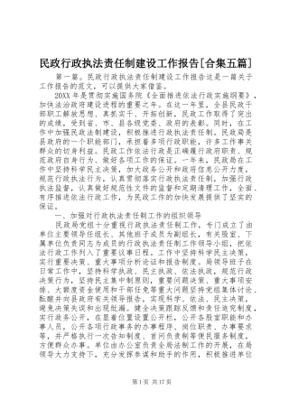 民政行政执法责任制建设工作报告合集五篇