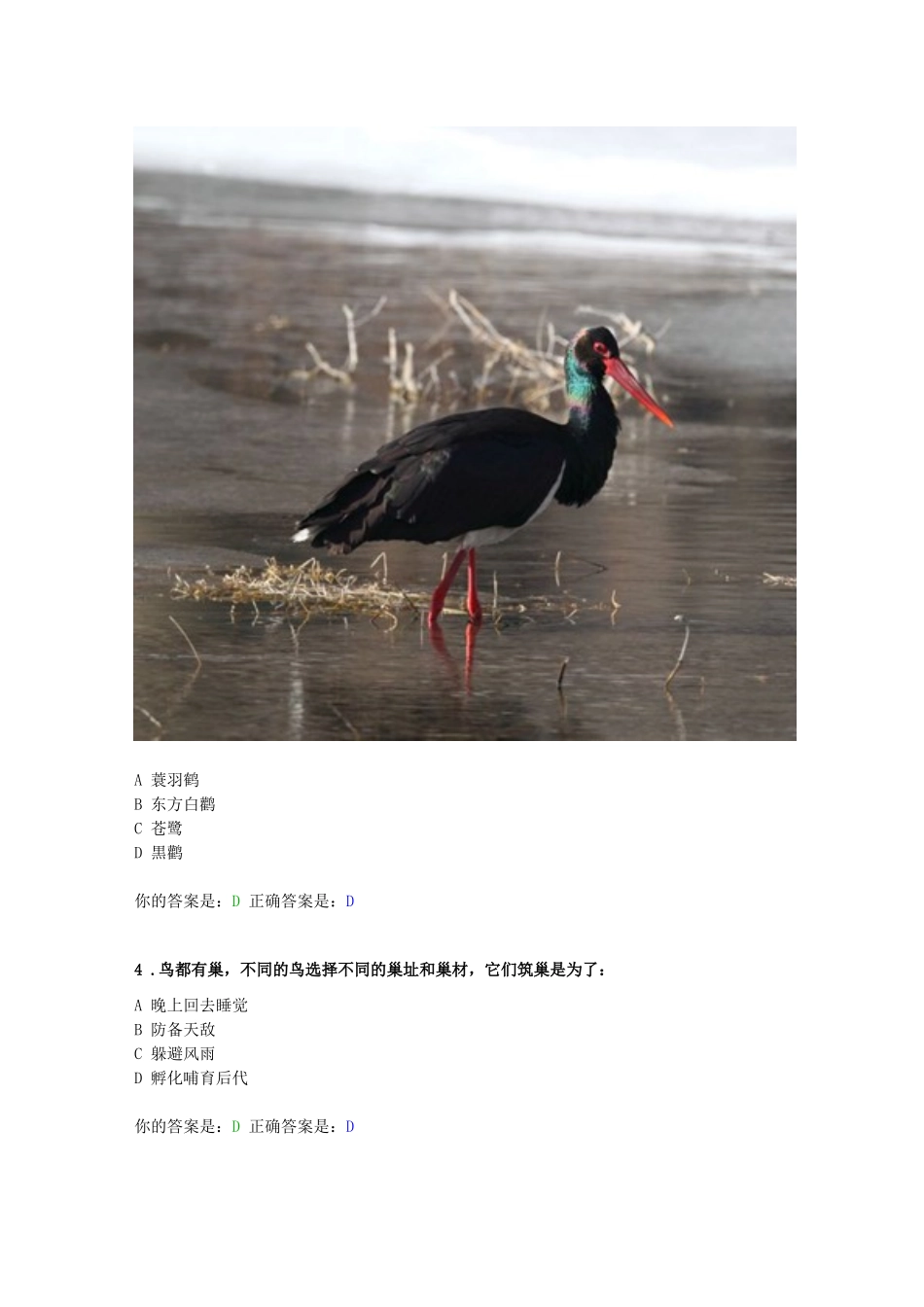 北京市第二届观鸟大赛试题_第2页