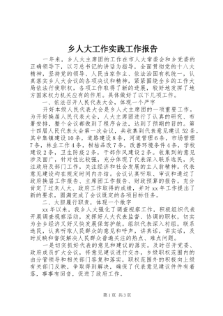 乡人大工作实践工作报告