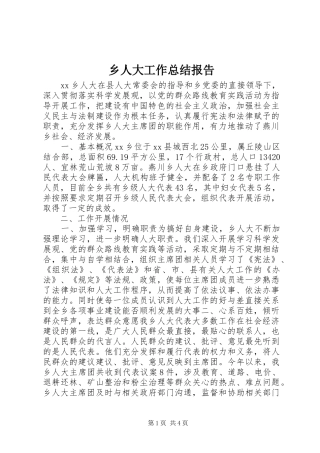 乡人大工作总结报告