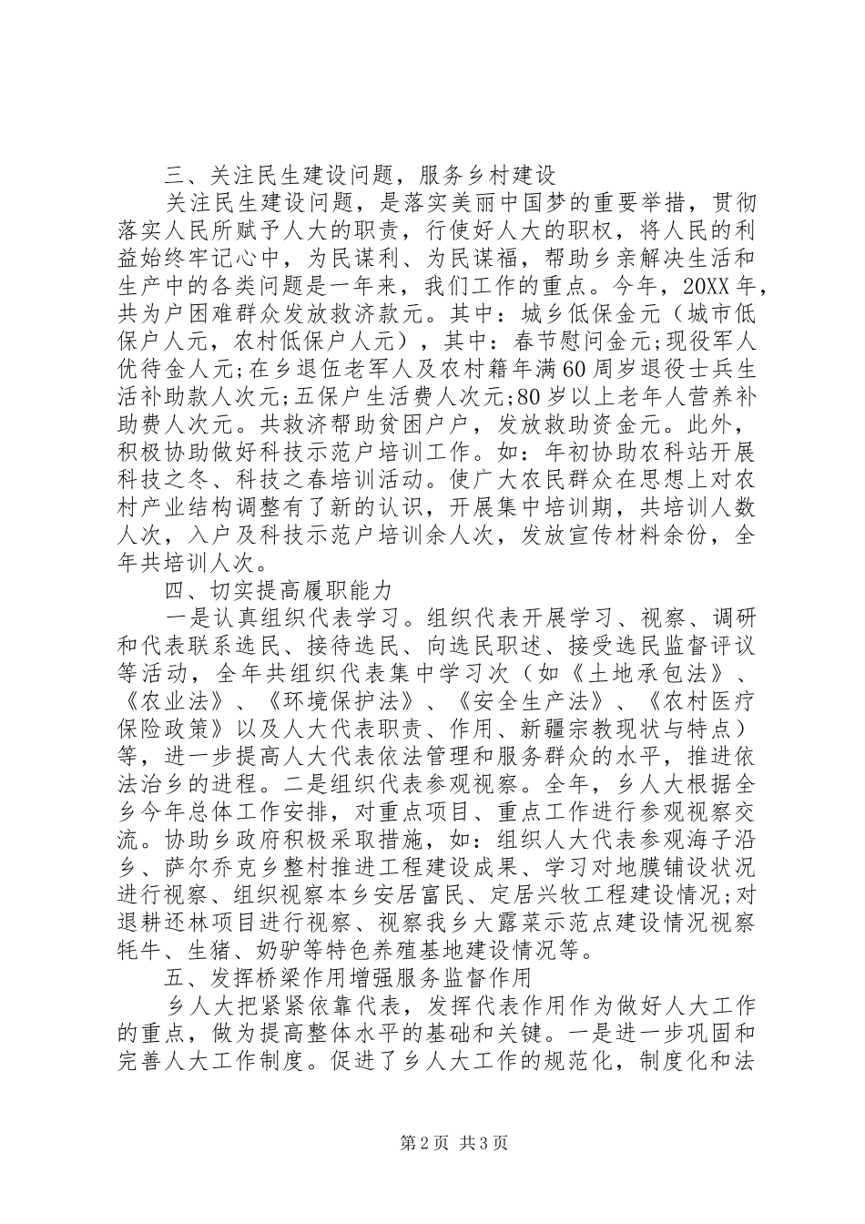 乡人大年度工作总结_第2页