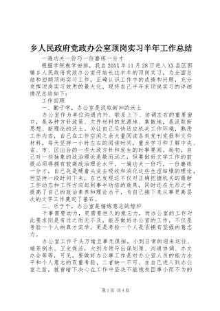 乡人民政府党政办公室顶岗实习半年工作总结