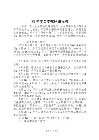 年度X支部述职报告