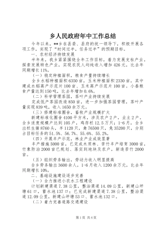 乡人民政府年中工作总结