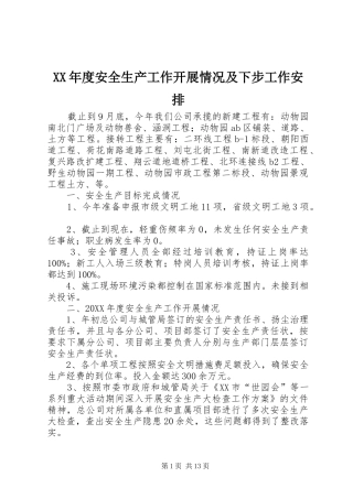 年度安全生产工作开展情况及下步工作安排