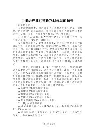 乡推进产业化建设项目规划的报告