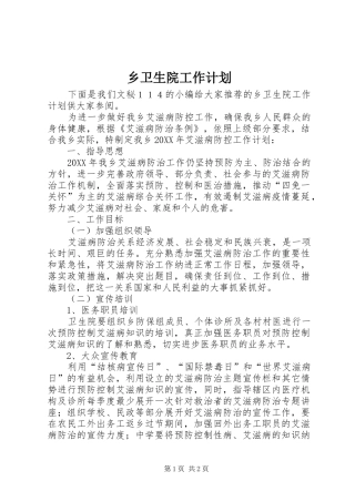 乡卫生院工作计划