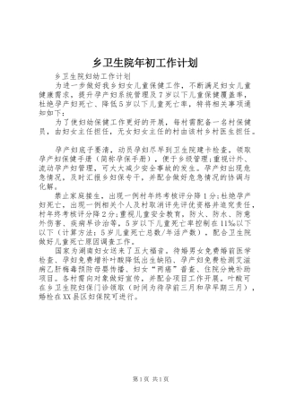 乡卫生院年初工作计划