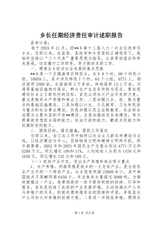 乡长任期经济责任审计述职报告