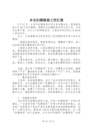 乡长扫黑除恶工作汇报