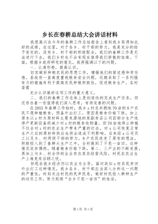 乡长在春耕总结大会致辞材料
